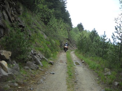94.  V NP Pelister.jpg